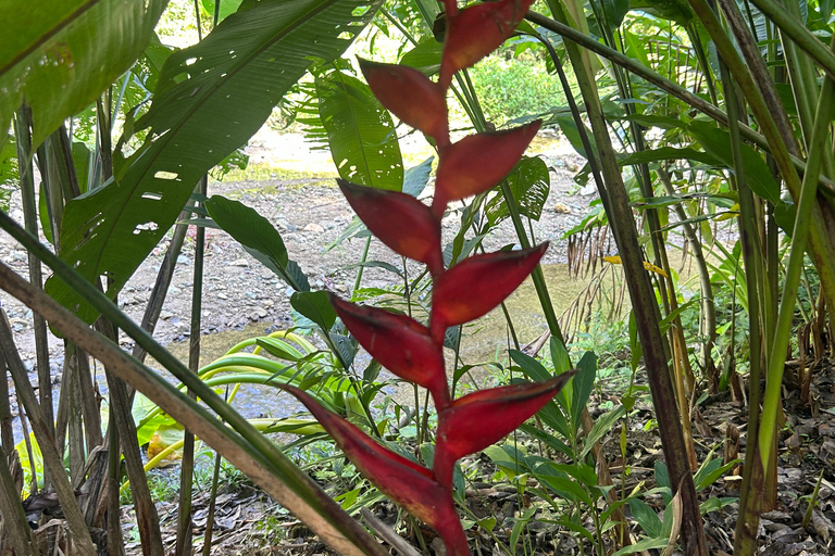 Z Huatulco: Egzotyczny ogród w ekoturystycznym ranczu i wizyta w punkcie widokowym.Z Huatulco: Egzotyczny ogród w ekoturystycznym ranczu i wizyta w punkcie widokowym