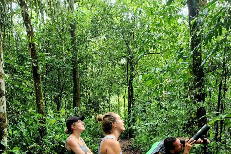 Sirena Day Tour - Local Experience in Puerto Jiménez Sirena Full-Day Sightseeing Tour - Local Experience in Puerto Jiménez
