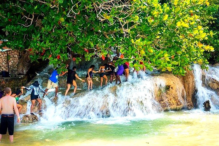 Dunn's River & Island Gully Falls/Blue Hole Tour From Ocho Rios Hotels & Port