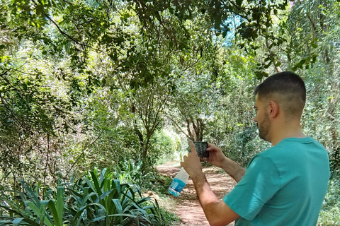 Nairobi: tour guiado a pie por el bosque de Karura