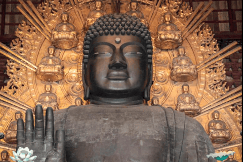Kyoto & Nara: Guided Walking Tour with Deer Encounter