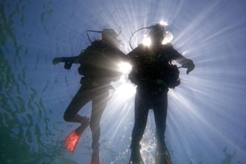 From Rio de Janeiro: Diving in Buzios