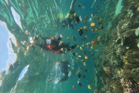 Tour privado de snorkel de un día en las Islas GiliEsnórquel privado Gili Trawangan, Gili Meno, Gili Air