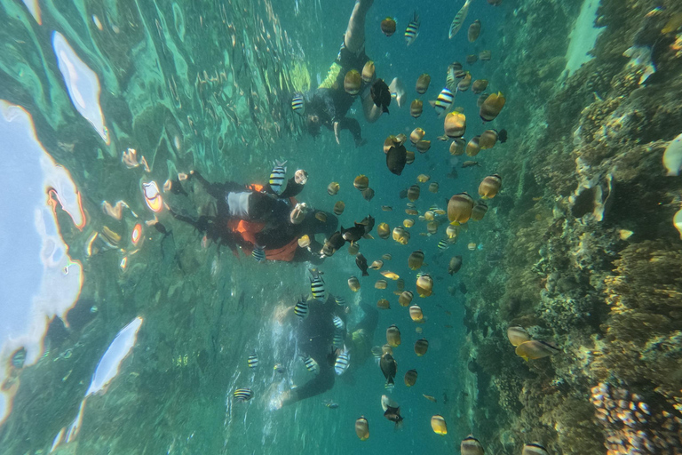 Snorkelen op de Gili eilanden dagvullende tourSnorkelen op Gili Trawangan, Gili Meno, Gili Air