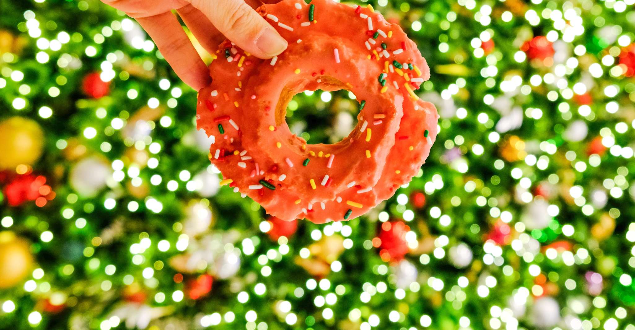 Brighton Festive Donut Adventure by Underground Donut Tour - Hizvo