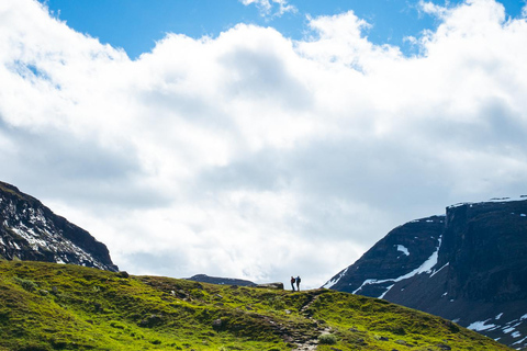 Abisko: Guided Hike to Lake Trollsjön with Photos & Drinks