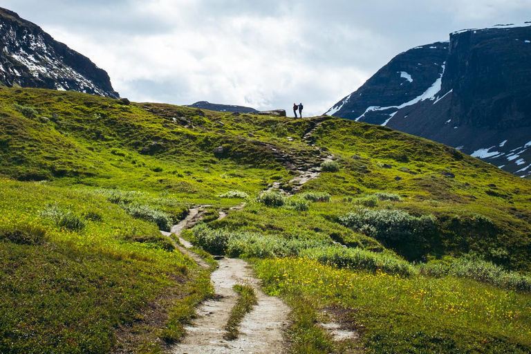 Abisko: Guided Hike to Lake Trollsjön with Photos & Drinks