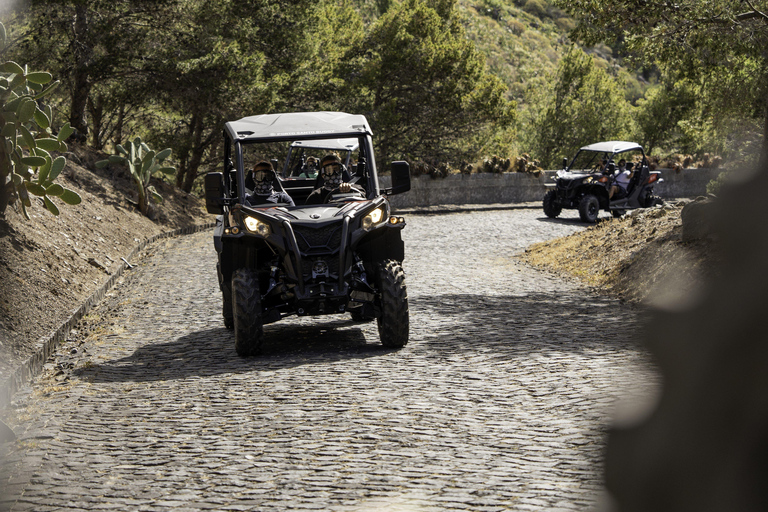 Porto Santo: 90 minutos de passeio de buggy off-road