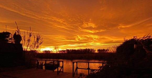 From Valencia: Sightseeing Tour of the Albufera de Valencia + Traditional Paella + Gift