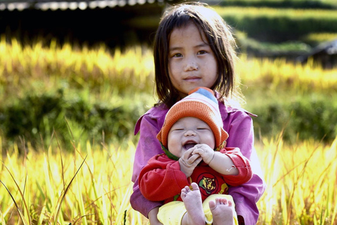 Mu Cang Chai 2 Days Tour Trekking Terraced Rice Field