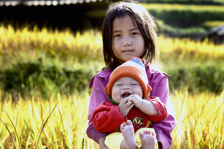 Mu Cang Chai 2 Days Tour Trekking Terraced Rice Field