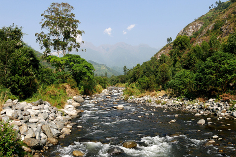 Kampala: 2-Day Rwenzori Mountains Hiking Tour