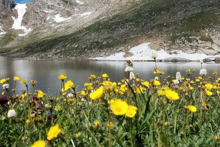 Denver: Tour di un giorno del Mount Evans Summer Mountain Summit