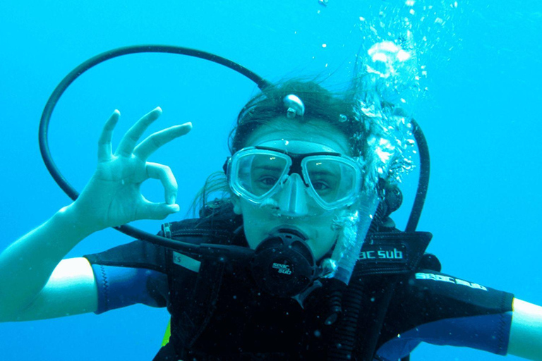 Bodrum: Guided Scuba Diving Experience with Transfer Single Dive Package (with Hotel Transfer)