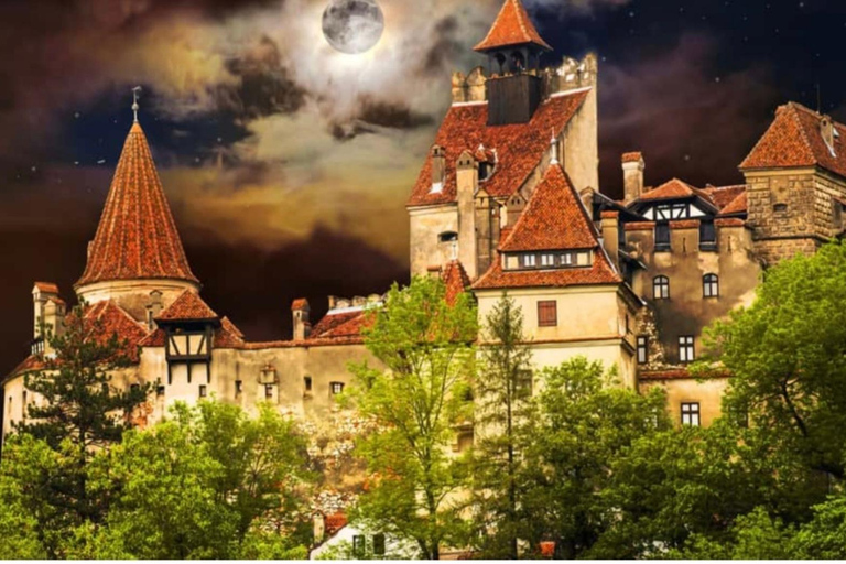 Bucharest: Bear Sanctuary and Dracula's Castle Tour Small Group (max 7) - tour in English entry tichets included