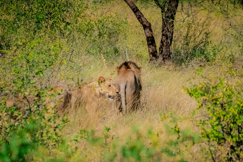 Samburu National Reserve 3-Day Safari from Nairobi