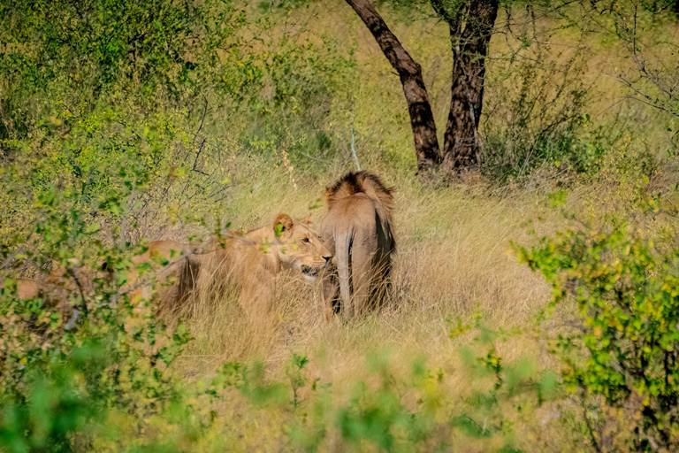 Samburu National Reserve 3-Day Safari from Nairobi