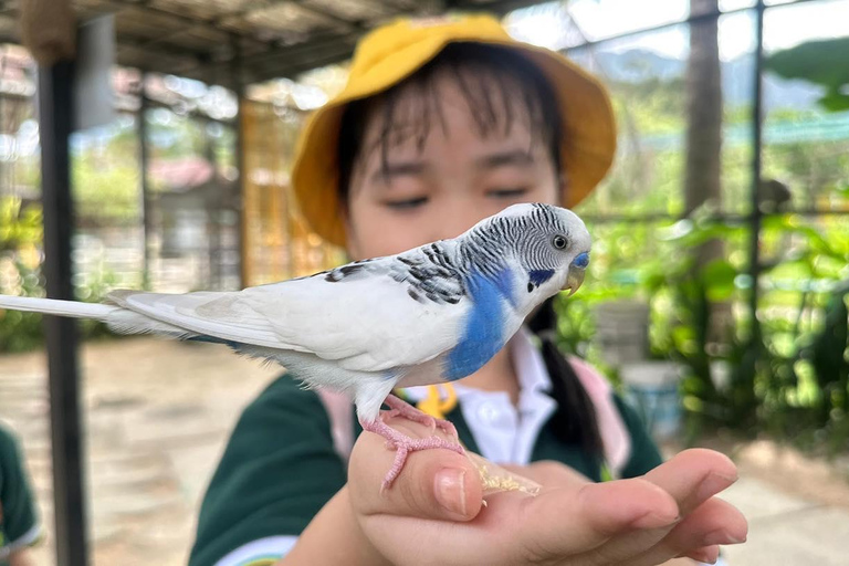 Penang: Balik Pulau Batik Painting &amp; Mini Zoo Petting