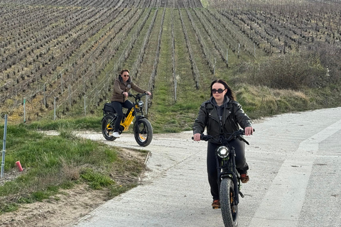 Champagne Vineyards: Tour through the heart of the vineyards on a fat tire e-bike Champagne Vineyards: Tour through the Heart of the Vines on a Fat E-Bike