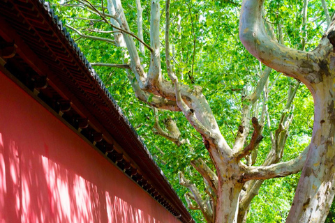 Hangzhou: Southern Song Heritage Sightseeing Hiking Tour