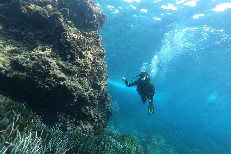 Mallorca: Try Scuba Diving by Boat