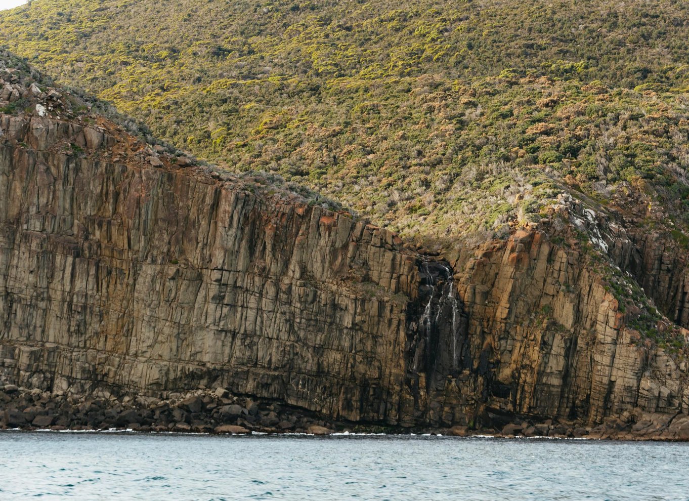 Fra Port Arthur: Tasman Island krydstogt i vildmarken