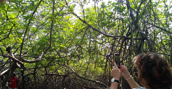 Sri Lanka Bentota: Private Mangrove Lagoon and River Cruise