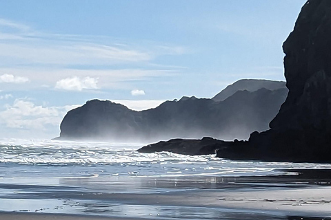 Piha e Karekare - Tour privato fuori AucklandTour privato guidato in lingua tedesca