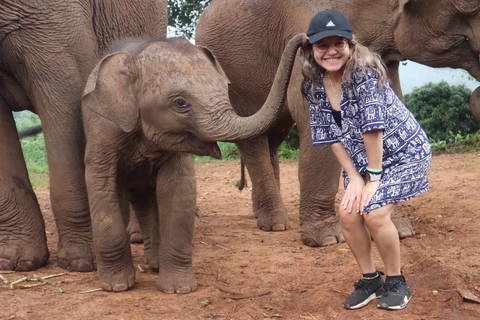 Chiang Mai: Santuário de elefantes, cascata e excursão de raftingPonto de encontro na cidade