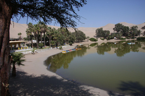 From Lima: Paracas and Huacachina Day Trip with Buggy Ride