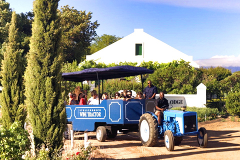 Città del Capo: Tour Hop-on Hop-off del trattore di Stellenbosch