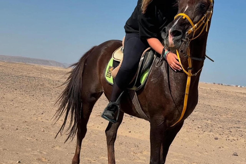 Hurghada: Abenteuerausflug mit Pferden durch die Wüste und zum StrandPrivater Ausritt in Hurghada: Wüste &amp; Strand