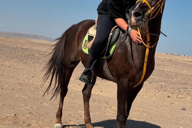 Hurghada: Abenteuerausflug mit Pferden durch die Wüste und zum StrandPrivater Ausritt in Hurghada: Wüste &amp; Strand