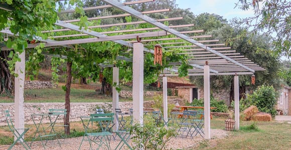 Goulis Winery Corfu: Farm Walk, Wine & Olive Oil Tasting