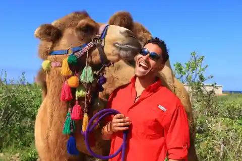 Cabo : UTV and Camel Ride in the Desert