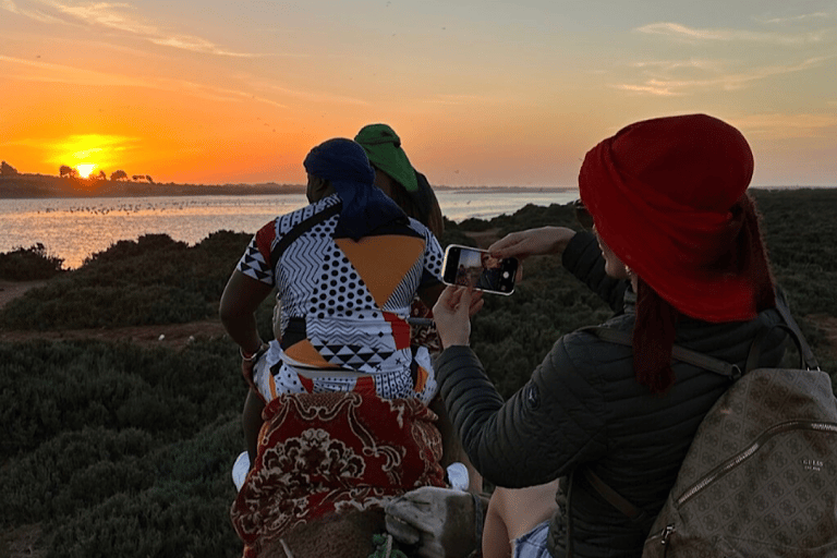 Agadir Camel Ride &amp; Flamingo River + Souk &amp; Moroccan Tea