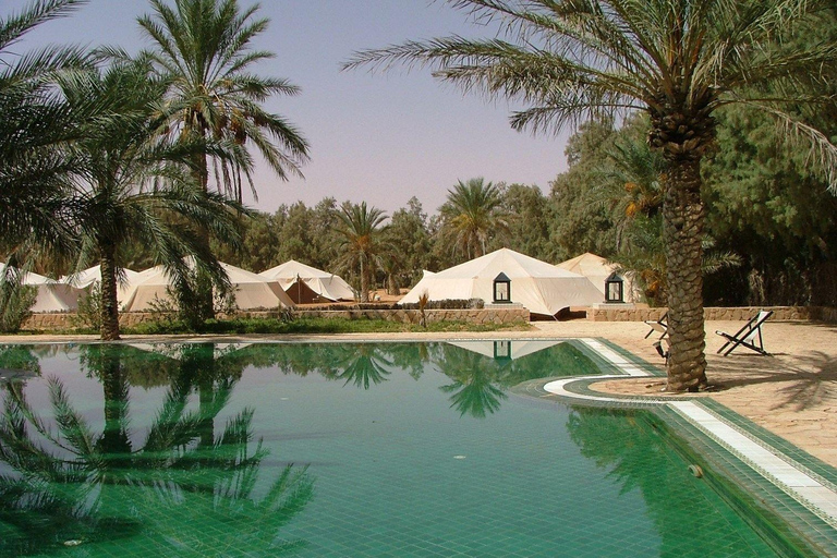 Ksar Ghilane: Oásis, Dunas e Aventura Star Wars com descobertas berberesKsar Ghilane: Oásis, dunas e aventura Star Wars com descobertas berberes