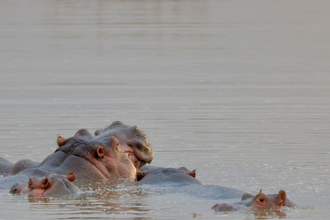 Nairobi: Hell's Gate & Crescent Island 2-Day Tour