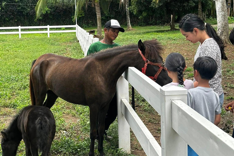 Batangas: Countryside Private Horseback Ride with Cafe Stop