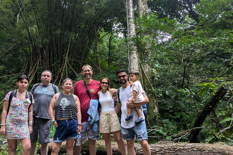 Minca: Hidden Waterfall Adventure and Artisanal Cocoa Workshop Waterfall + cocoa workshop + viewpoint - Departure from Minca