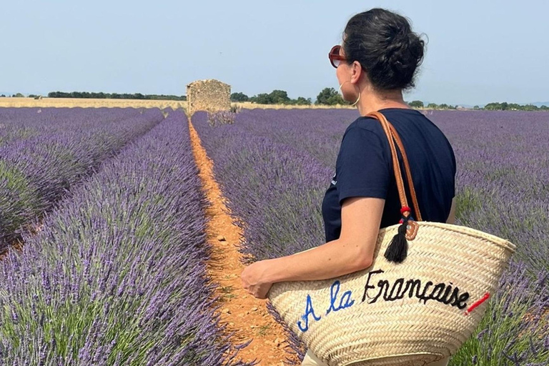 From Marseille: Valensole Lavender Full-Day tour