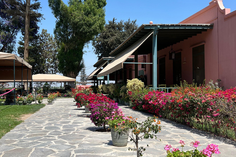 From Ica or Huacachina: Tour to Tacama Vineyard and Artisanal Winery.