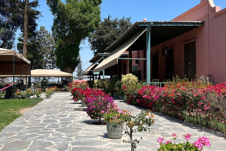 Depuis Ica ou Huacachina : visite du vignoble et de la cave artisanale de Tacama.