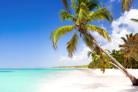 Bavaro|Veron: PUJ Airport to Bavaro|Veron Private Transfer