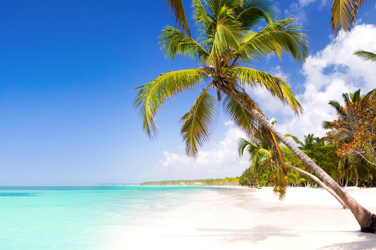 Bavaro|Veron: PUJ Airport to Bavaro|Veron Private Transfer