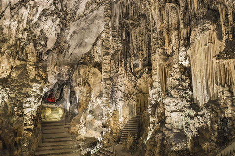 Arta Caves and Market Excursion