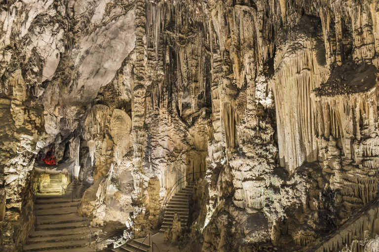 Arta Caves and Market Excursion