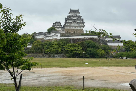 Osaka: Himeji Castle and Kobe Private Guided Day Trip