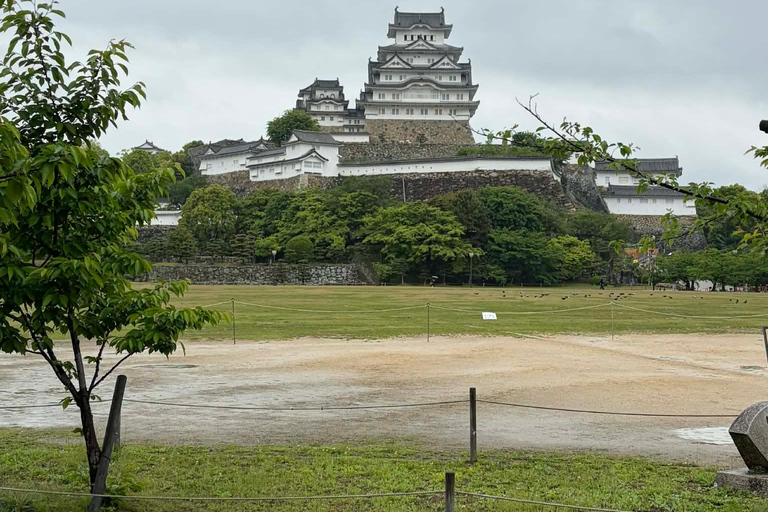 Osaka: Himeji Castle and Kobe Private Guided Day Trip