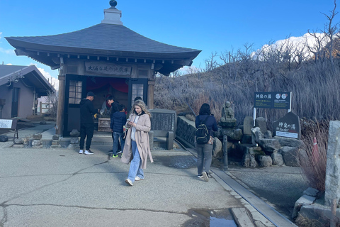 From Tokyo: Hakone Full Day Customizable Private Tour
